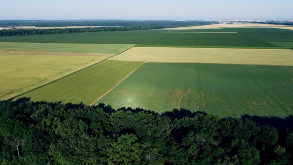 Aerial Drone View Flight Over Different Agricultural Fields Sown alt