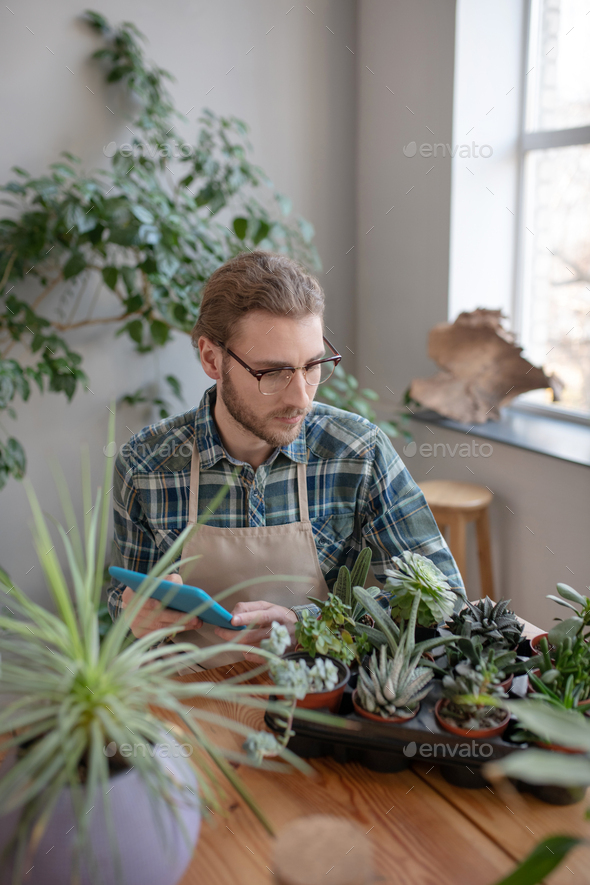 Man checking condition of his succulents using a tablet