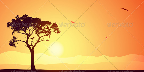 Tree Silhouette - Landscapes Nature