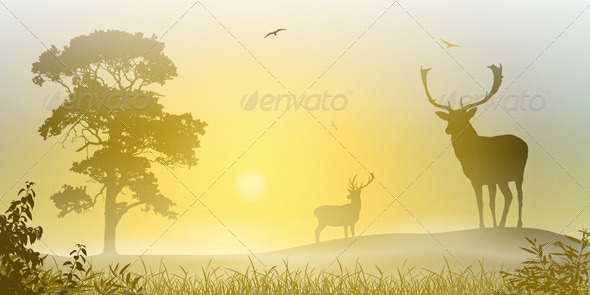 Male Stag Deer - Animals Characters
