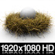 Nest Egg Concept With Alpha Channel - VideoHive Item for Sale