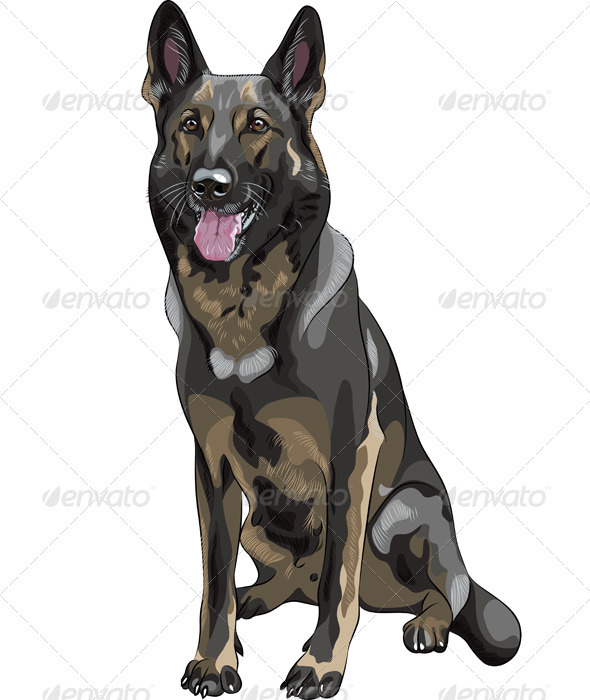 Vector Black Dog German Shepherd Breed - Animals Characters