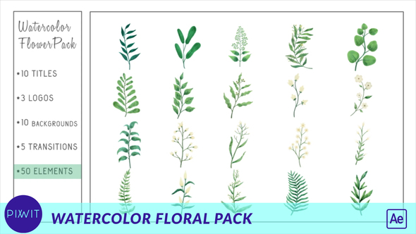 Watercolor Flower Pack