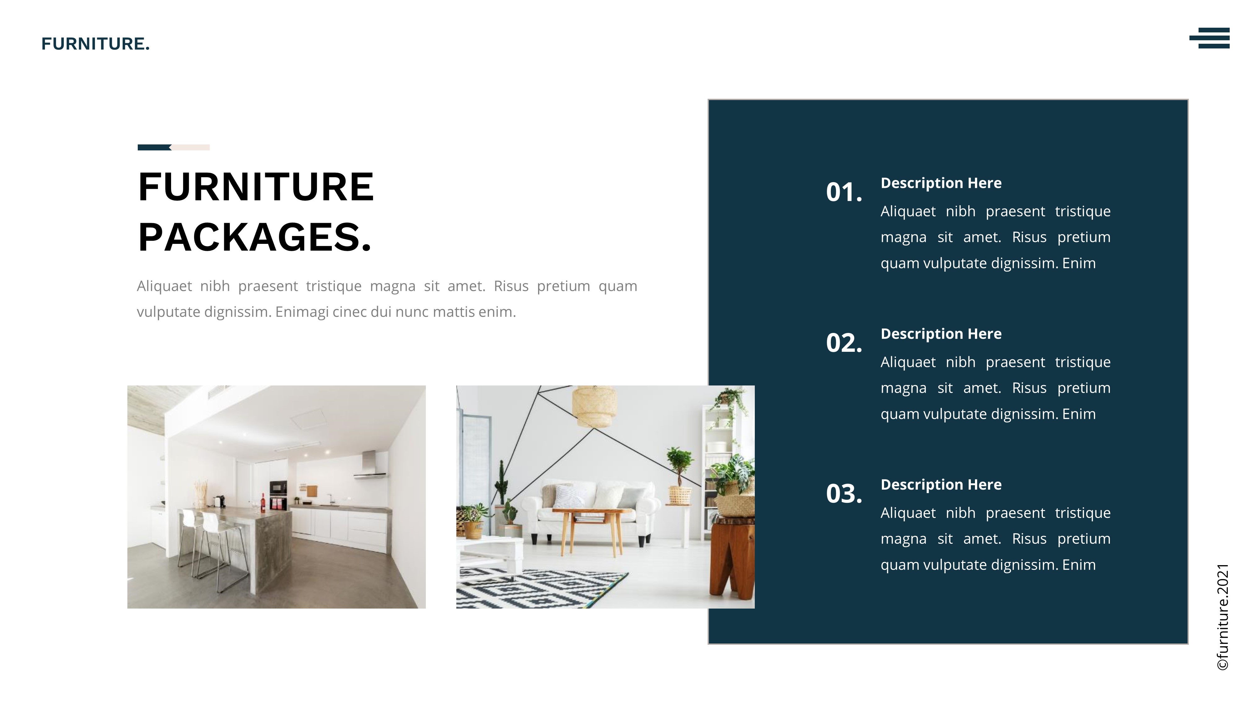 Furniture Powerpoint Template Presentation, Presentation Templates