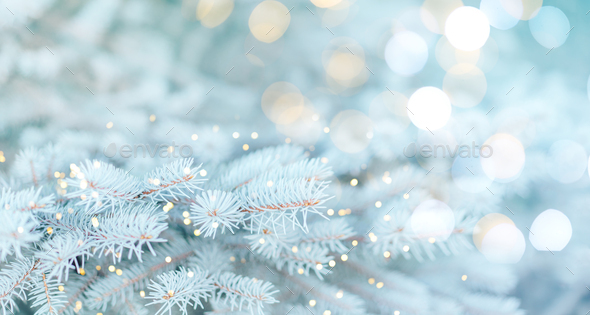 Vui tết Giáng sinh ngoài trời với banner cây Giáng sinh tuyết trắng tuyệt đẹp. Một thiết kế đầy màu sắc và lung linh để trang trí nhà hoặc sân của bạn. Nó không chỉ tạo cho bạn một cảm giác thật tuyệt vời mà còn đem lại sự cuốn hút cho khách tham quan khi đến thăm nhà bạn.
