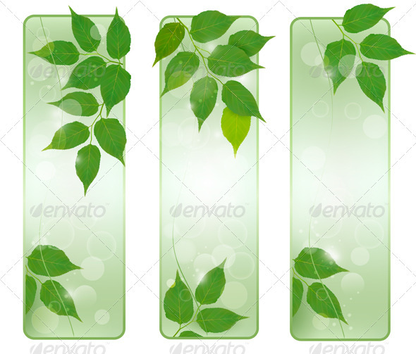 Three nature banners with green fresh leaves - Flowers & Plants Nature