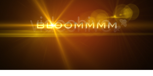Bloom intro - VideoHive 108559
