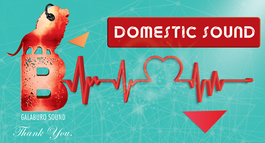 DOMESTIC SOUND