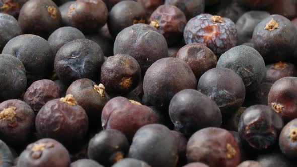 Dried juniper berries close up full frame as background  alt