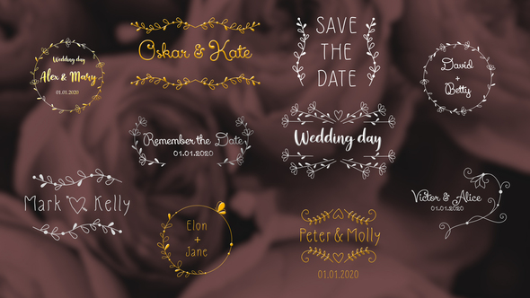 Wedding Day Titles | After Effects
