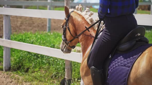 Female Jockey On A Pearl Horse With Blue Saddle Running In The Sandy Parkour alt