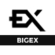 Bigex - Portfolio WordPress Theme