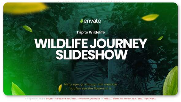 Wildlife Journey Slideshow - VideoHive 33481975