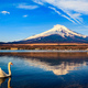 White Swan with Mount Fuji at Yamanaka lake, Yamanashi, Japan - PhotoDune Item for Sale