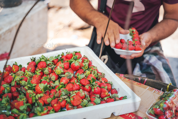 Strawberry street seller packs berries on the market