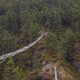 Hillary Bridge With Yaks And Tourists in Nepal - VideoHive Item for Sale