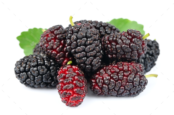 Sweet mulberry Stock Photo by vmariia | PhotoDune