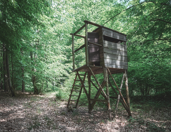 Wooden deer hunting blind in a forest.