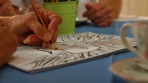 Senior woman drawing with a pencil alt