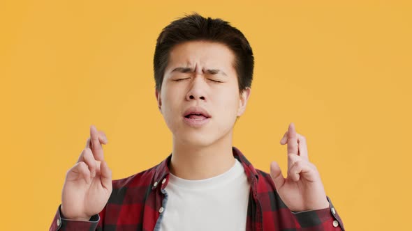 Asian Student Guy Keeping Fingers Crossed For Luck Yellow Background alt