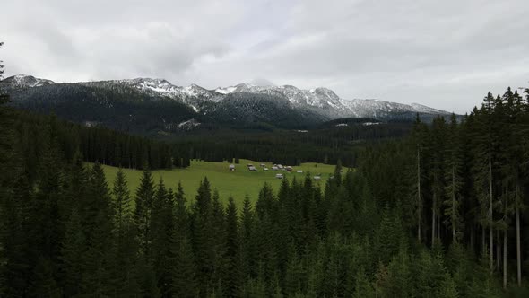 Scenic Alpine Forest of Pokljuka with mountain pasture, Triglav NP alt