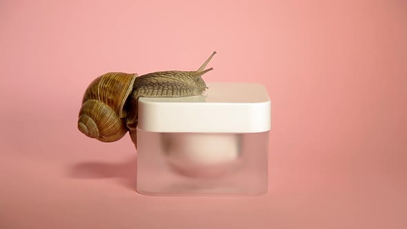 Skin Care Cosmetics with Snail Mucus