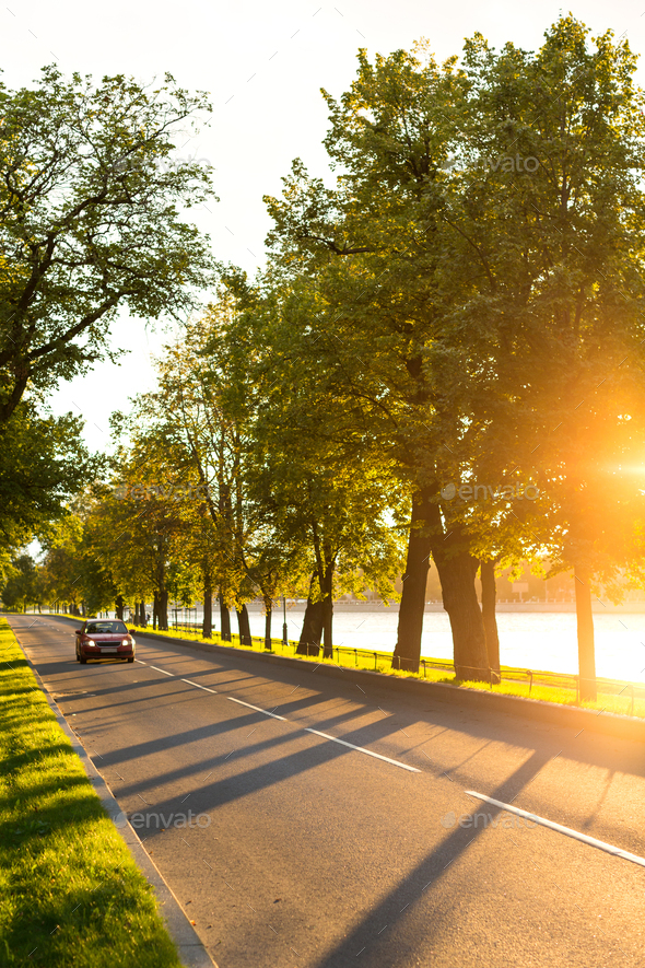 Modern car driving on road in park at beautiful sunset, street light and  river on background. Stock Photo by varyapigu