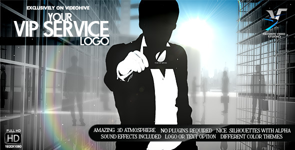 Your V.I.P. Service - VideoHive 3065329