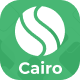 Cairo - Creative & Modern Multipurpose Tumblr Theme