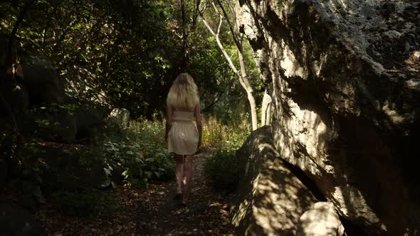 A Girl Walks Along a Path in the Woods, Around the Gloomy Atmosphere