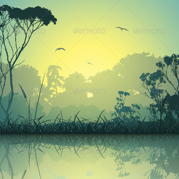 Meadow Landscape - Landscapes Nature
