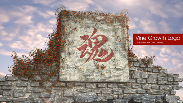 Vine Growth Logo - VideoHive 33613198