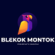 Blekok Proxy Browser - Unblock Sites with Facebook Biding Ads
