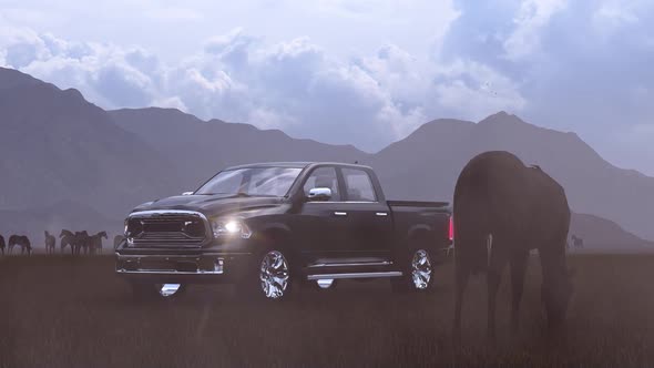 Wild Horses Grazing in Foggy Weather and Black Pickup