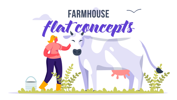 Farmhouse - Flat Concept