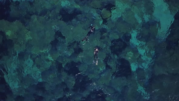 There are Two Free Divers in the Crystal Clear Water in the Aerial Footage on a Sunny Day