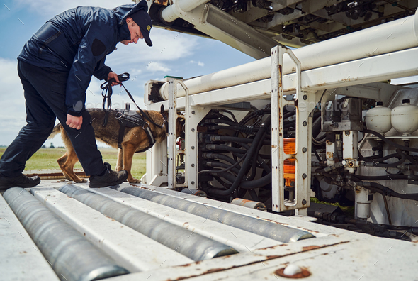 Security officer and detection dog inspecting plane at aerodrome Stock ...