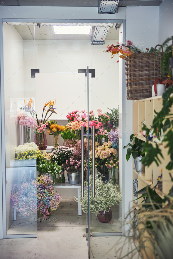 Beautiful freshcut flowers kept in a cold room Stock Photo by svitlanah