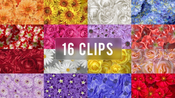 Floating Flowers Background - 16 Clips