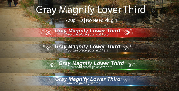 Gray Magnify Lower Third
