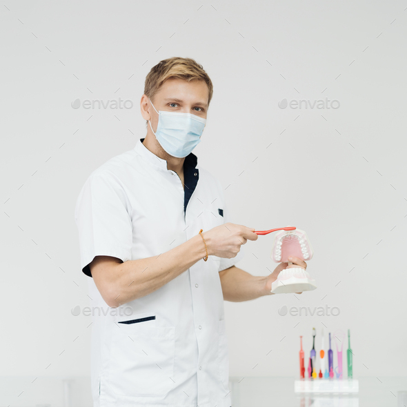 Dentist showing the correct dental hygiene on white background Stock ...