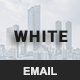 White - Responsive Email Newsletter
