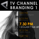 Broadcast Design - TV Channel Branding 1 - VideoHive Item for Sale