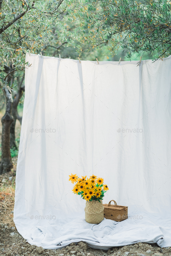 Hanging textile white cloth in olive garden. Decoration and background for photo. Straw basket