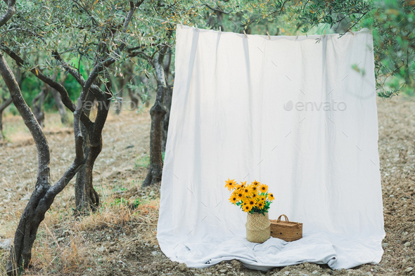 Hanging textile white cloth in olive garden. Decoration and background for photo. Straw basket