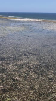 Tanzania  Vertical Video of Low Tide in the Ocean Near the Coast of Zanzibar Slow Motion alt