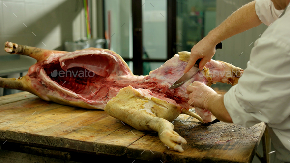 Butcher cuts pork carcass in a slaughterhouse.