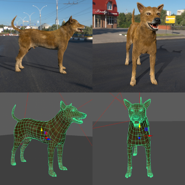 Low Poly Dog - 3Docean 33707828