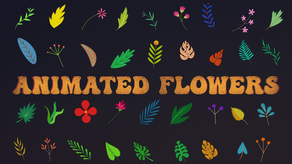 Animated Flowers - VideoHive 33714560