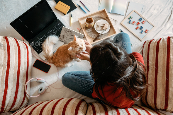 Home office, work space, work from home concept. Young woman with laptop and cat working at sofa